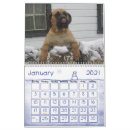 Search for mastiff office supplies English