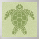 Search for green turtle posters Reptile