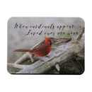 Search for appeared magnets Quote