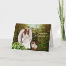 Search for sympathy expressions Angel