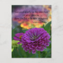 Search for confidence postcards Dreams