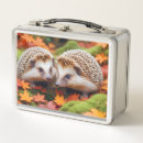 Search for hedgehog lunch boxes Forest