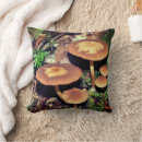 Search for mushroom cushions Nature