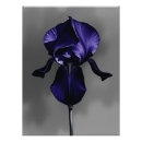 Search for grey on dark posters Botanical