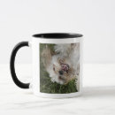 Search for florida usa mugs Outdoors