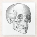 Search for anatomy coasters Skull