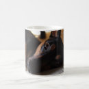 Search for pincher mugs Pinscher