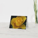 Search for variety cards Floral