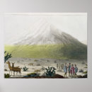 Search for humboldt posters Alexander