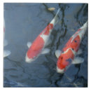 Search for fish pond tiles Outdoors