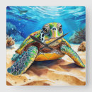 Search for turtle clocks Underwater