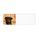 Search for germany return address labels Dog