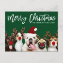 Search for adorable dog cards Dogs