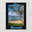 Search for aloha hawaii postcards Ocean