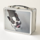 Search for bulldog lunch boxes Getty images