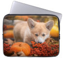 Search for pumpkin baby electronics Fall