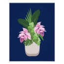Search for pink orchid posters Rainforest