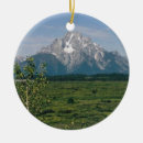 Search for grand christmas tree decorations Mountains