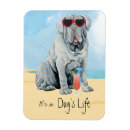 Search for italian magnets Travel