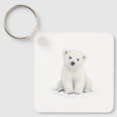 Search for polar key rings Winter