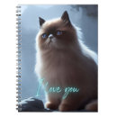 Search for himalayan cat Cute