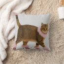 Search for fluffy cushions Funny cat