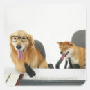 Search for dog in glasses stickers Humour