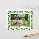 Search for patricks postcards Shamrock
