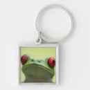 Search for frog key rings Shells