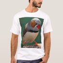 Search for finch tshirts Australia