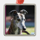 Search for greyhound dog christmas tree decorations Pets