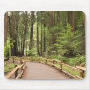 Search for muir woods mousepads Green