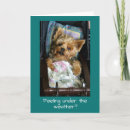 Search for baby doll cards Photography