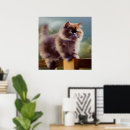 Search for longhair posters Feline