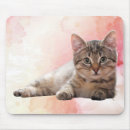 Search for gray cat mousepads Kitten