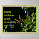 Search for christian butterflies art Romans