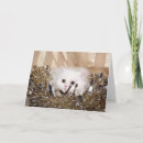 Search for persian cat christmas cards Kitty