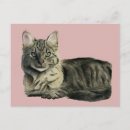Search for medium stamp postcards Cat
