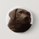 Search for black labrador retriever dog badges Puppy