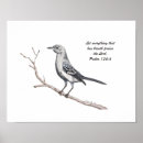 Search for mockingbird art Wildlife