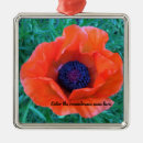 Search for oriental christmas tree decorations Orange