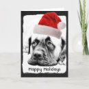 Search for funny dog new years cards Dogs