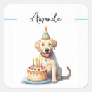 Search for retriever stickers Birthday