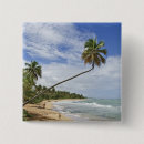 Search for sandy beach badges Nature