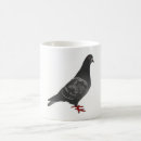 Search for pigeons mugs Nature