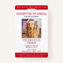 Search for service dog id badges Red white