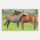 Search for horse pictures stickers Animals