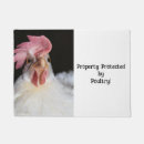 Search for chicken garden outdoor Hen