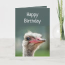 Search for down hill cards invites Humour