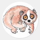 Search for cute lemur stickers Primate